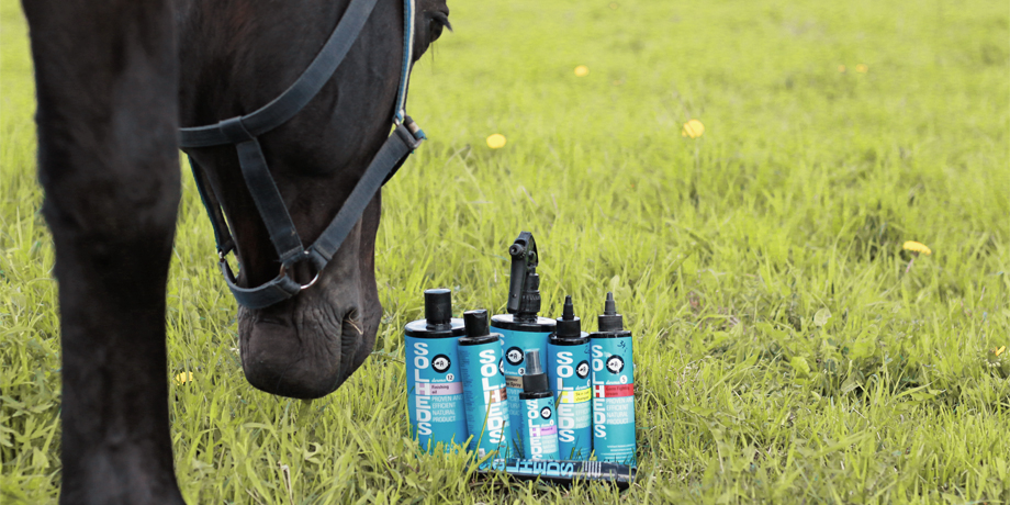 Kesäihottuma on hevosten yleisin allerginen ihosairaus