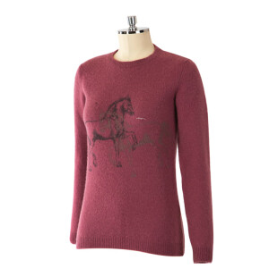 Animo Saci tröja i merinoull image