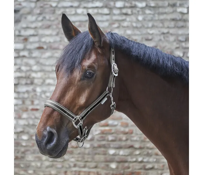 esperia svartgra kuva