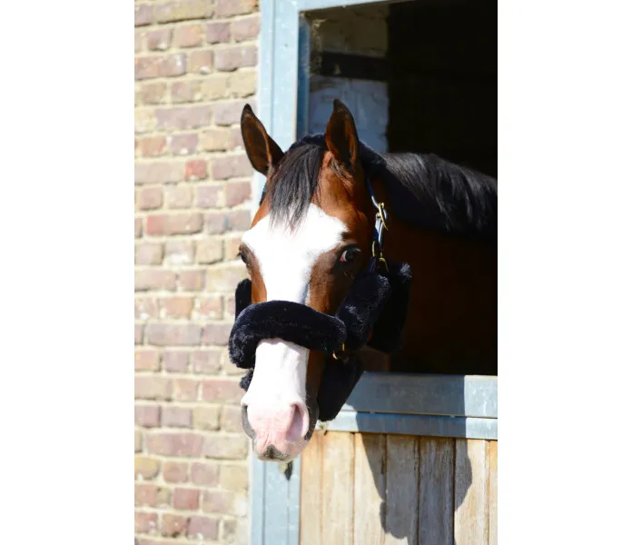 Sheepskin Halter Set 9 pcs 4 kuva