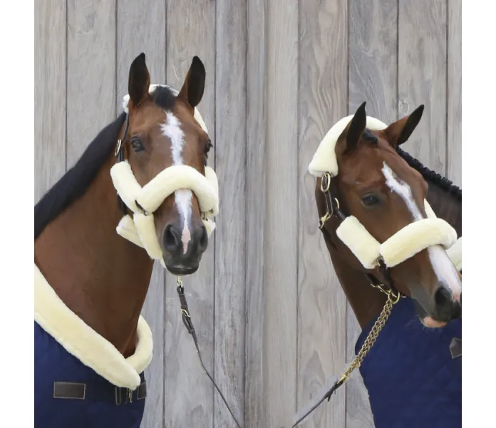 Sheepskin set halter Kentucky kuva