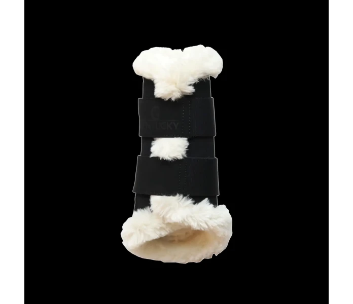 63d0b7e26bbcb 0a082c3fe75088c577965d6b7e1492a404ee5b9a 42309 01 001 image