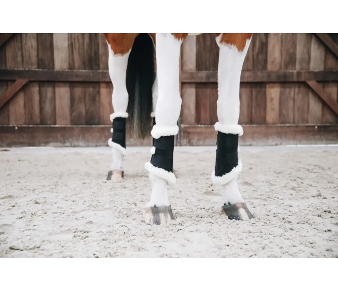 63d0b7e33e6ce 436d376e9d2110b1c5e7bf69d461d2b102967cdc 42309 01 101 image