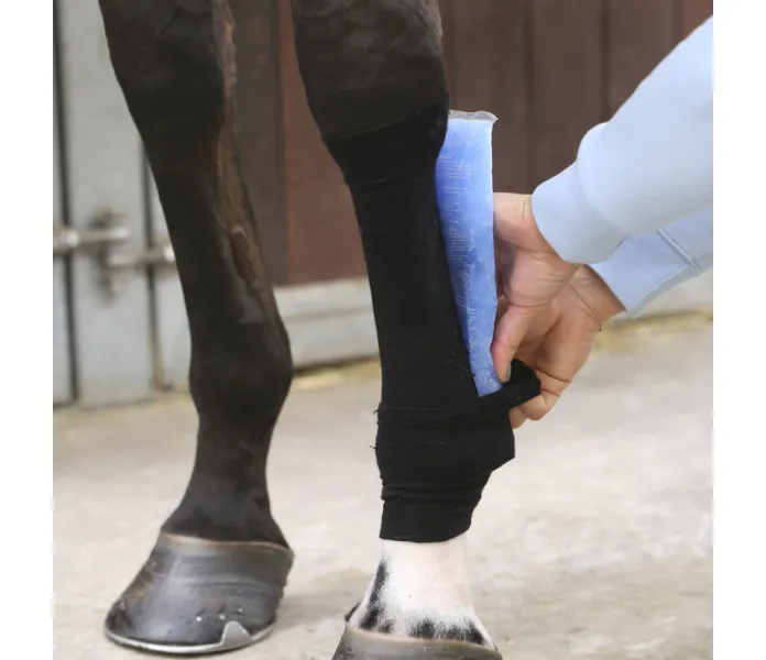 Tendon Grip Sock Kentucky 2 kuva