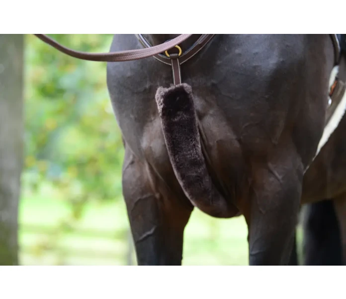 63d0bbbbb0ed2 13841ee40a046c1483f16ea70a1b387b64942252 42601 05 100 jpg image