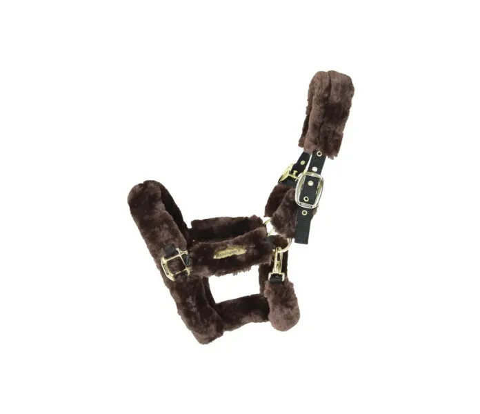 1696419432858 8e472a0e aa35 42d3 a5b0 a09d62b62983 1 kuva