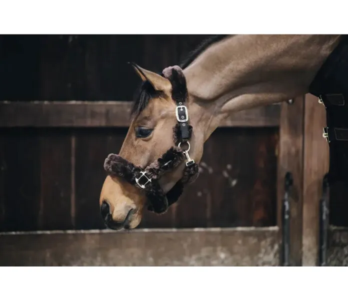 1696419940131 9c56d1e6 aac3 4401 a09c d726042d7c61 1 kuva