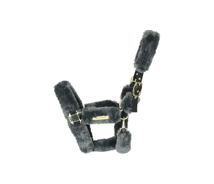 63d0b8a661539 7acea90a8da48e14e0a28de86df2d813a57814d8 42502 08 001.png kuva