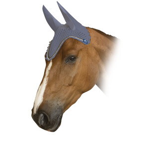 AS Zara Korvahuppu kuva