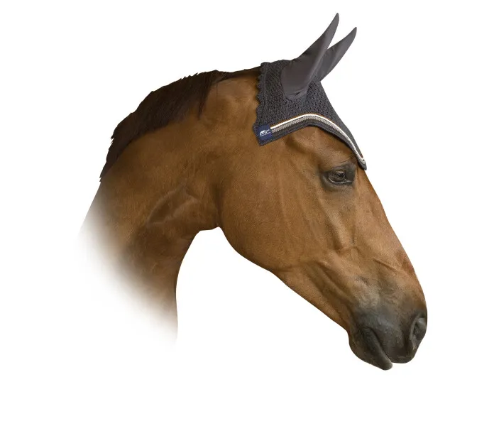 Zueg kuva