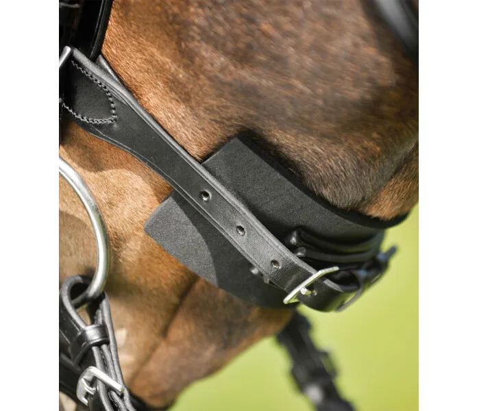 bridle pad kuva