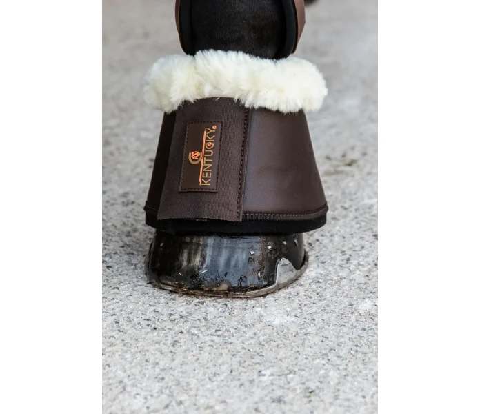 63d0c1818d9ae b6c37e6b7671fd31f991fd0135527a68f402bdd8 88295 05 101 image