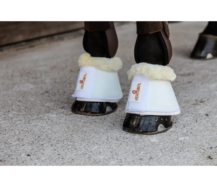 6559a5a5114e1 31caeb3c4cd617f795f1974fbc94ee42d8272653 88295 02 100 image