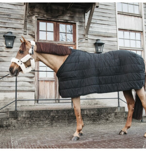 Kentucky Under Rug Skin Friendly 150 g talliloimi kuva