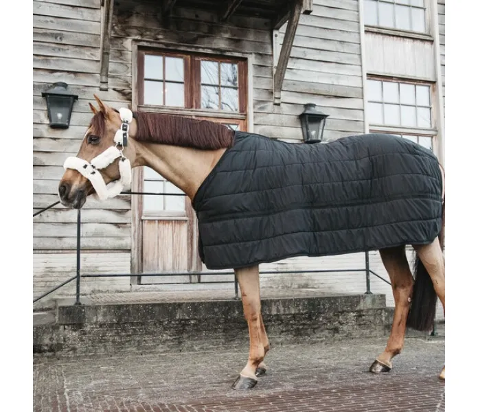 Kentucky under rug skin friendly talliloimi 150 g musta 2 kuva