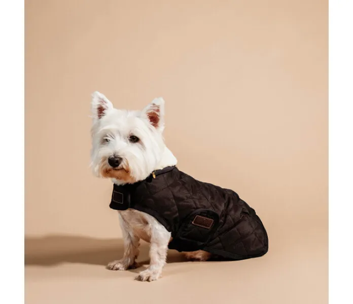 Kentucky dog coat original ruskea 4 image