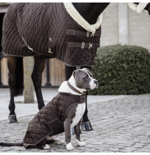 Kentucky Dog Coat Original hundtäcke image