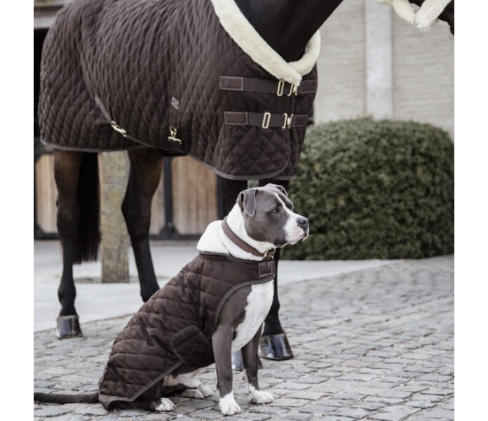 Kentucky dog coat original ruskea image