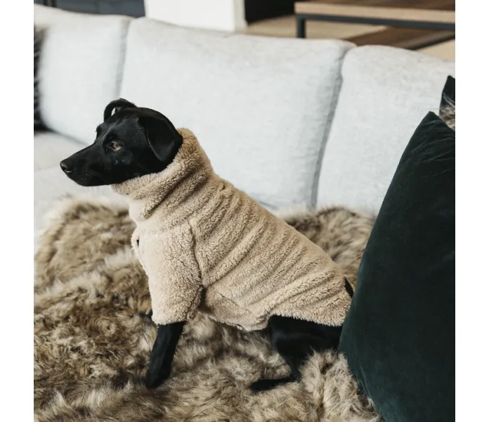 485a5203 564c22e810080218547dfa1c1093aa08 article photobook l image