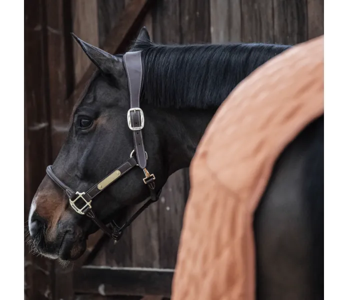 485a6327 564c22e810080218547dfa1c1093aa08 article photobook l kuva