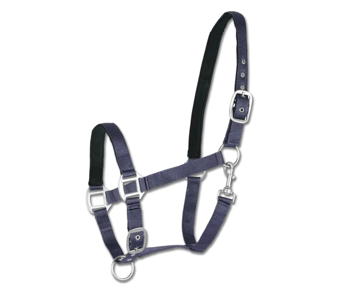 502505 PON 58 v3 kuva