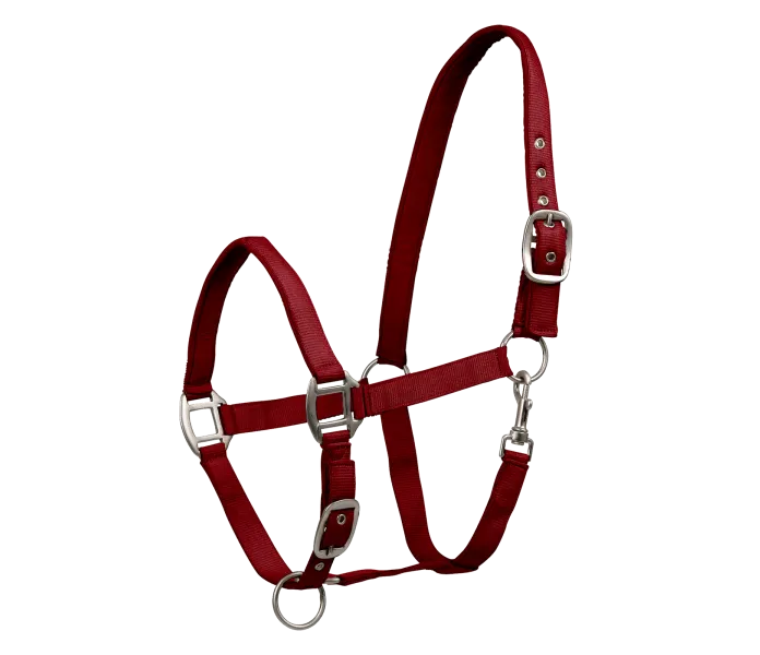 502509 PON 56 v2 kuva