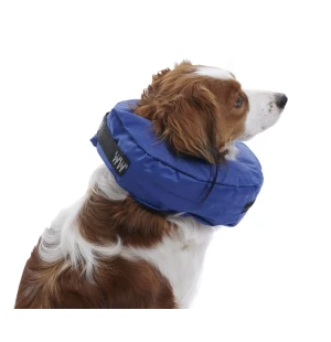 Buster uppblåsbar krage image