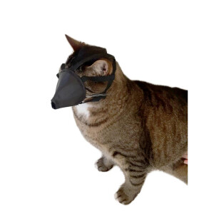 BUSTER Munkorg för katt, nylon image