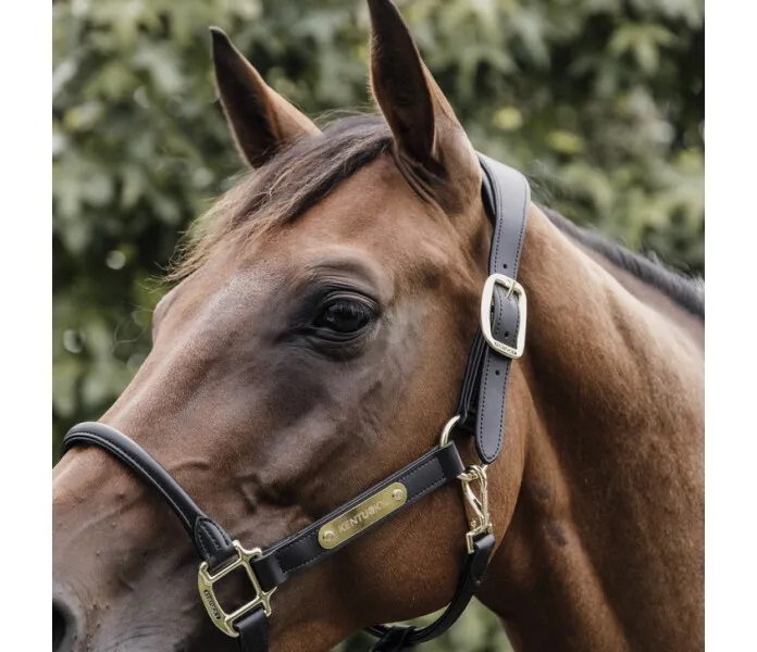 Kentucky leather halter black 3 image