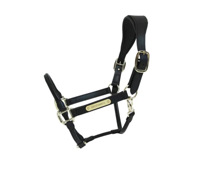 Kentucky leather halter black1 image