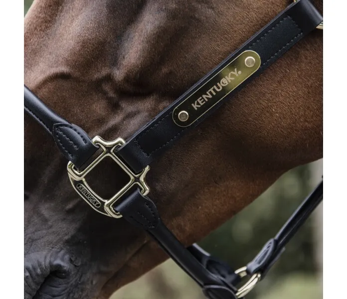 Kentucky leather halter black5 image
