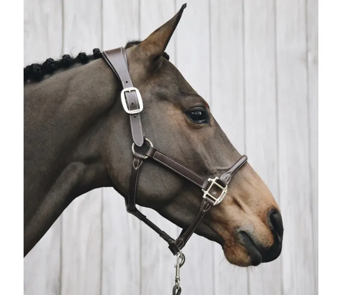 Kentucky leather halter brun 2 image