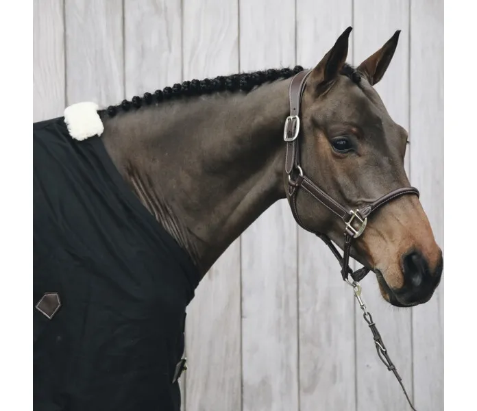 kentucky leather halter 3 image