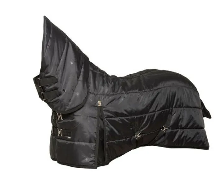 WAHLSTEN LARAMI 200G FULLNECK TALLI ALUSLOIMI kuva