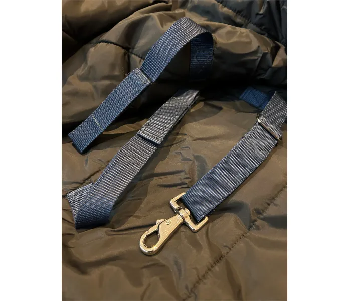 photo output v3 image