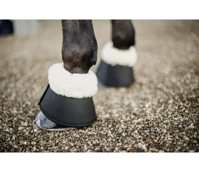 63d0c1010caea bbd4b4e443d03c5bfac1ede4efacfb6a30a7b5b7 88195 01 101.jpg image