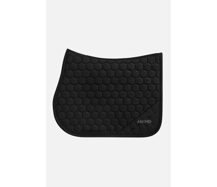 WEST 24TF 01 Nero copia v2 kuva