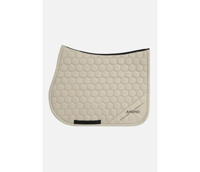 WEST 24TF 62 Beige copia v2 kuva