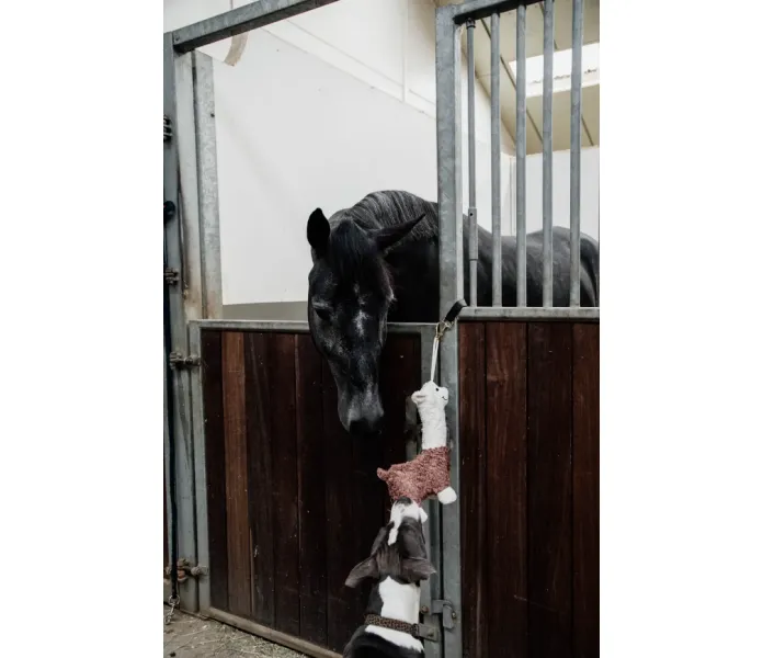 Skarmbild 2024 04 30 125505 image