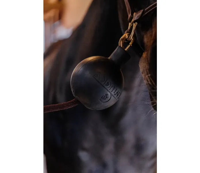 Skarmbild 2024 05 02 135240 image