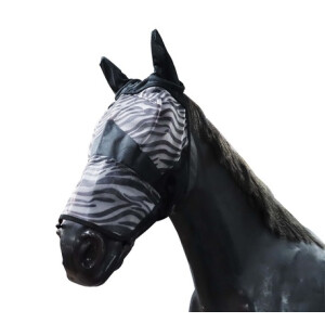 Ötökkähuppu zebra kuva