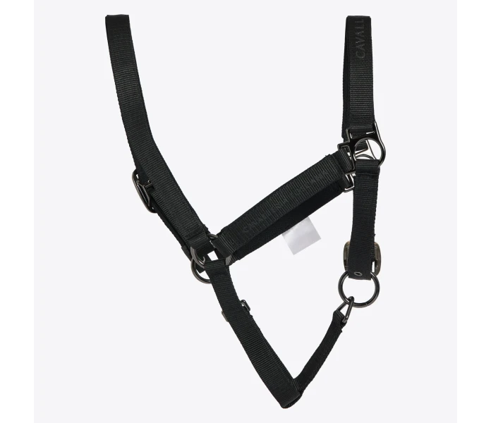 CAV005 PL061 9999 2 kuva