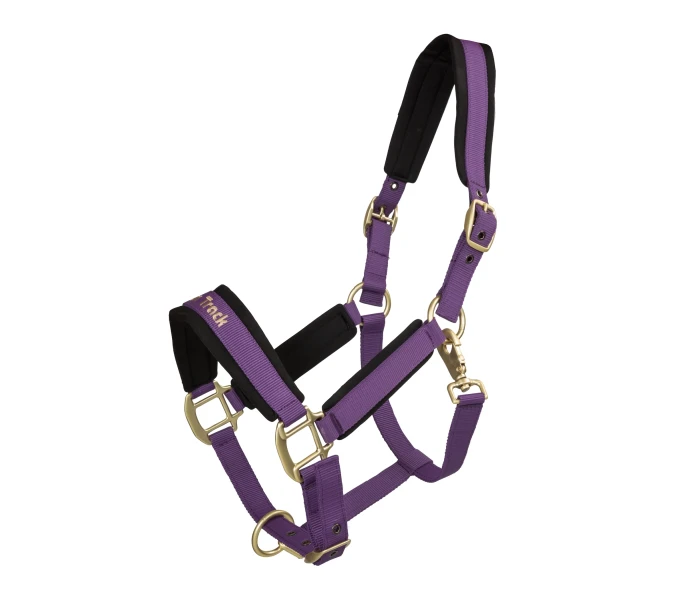 2064WeranoHalterPurple01 1500x kuva