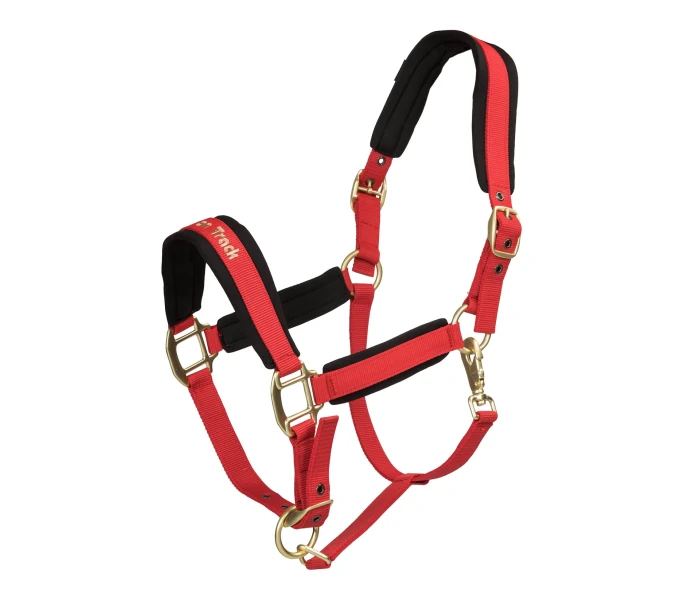 2064WeranoHalterRed01Web jpg kuva