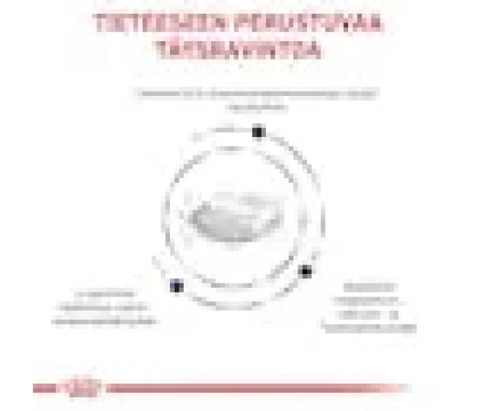 rc vhn neuteredsatietybalancecatdry weightctrl cv 3 fi fi image