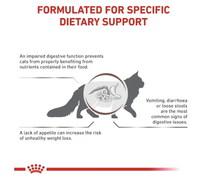 vhn gi gastrointestinal cat dry b1 mv2 image