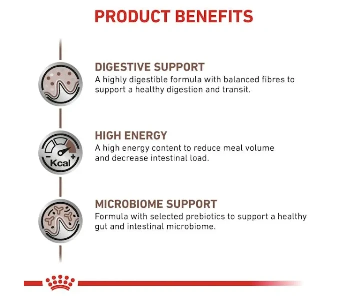 vhn gi gastrointestinal cat dry b1 mv4 image