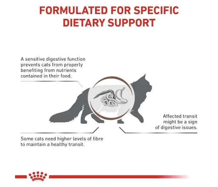 vhn gi fibre resp cat dry wet b1 mv3 kuva