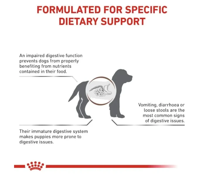 vhn gi puppy dog dry b1 mv2 image