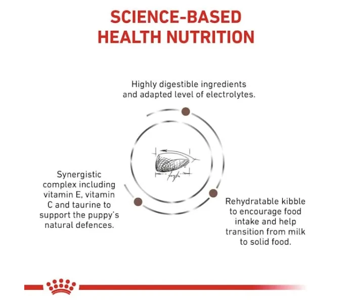 vhn gi puppy dog dry b1 mv3 image